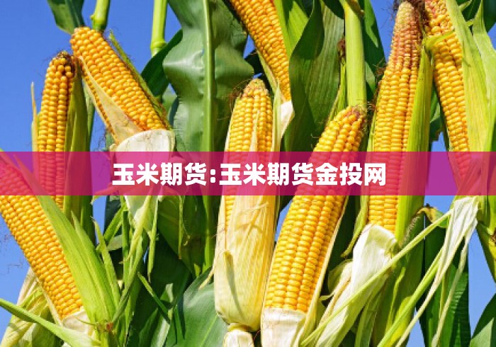 玉米期货:玉米期货金投网