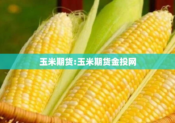 玉米期货:玉米期货金投网