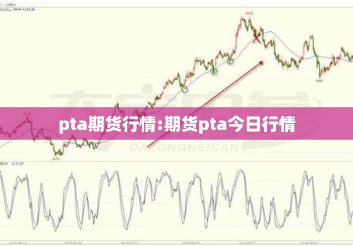 pta期货行情:期货pta今日行情 pta期货行情:期货pta今日行情
