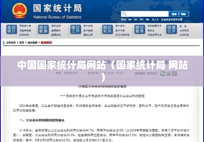 中国国家统计局网站(国家统计局 网站) 中国国家统计局网站(国家统计局 网站)