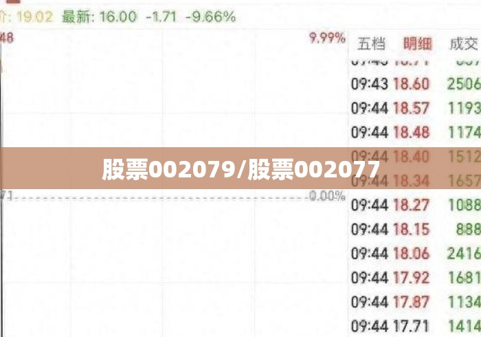 股票002079/股票002077 股票002079/股票002077