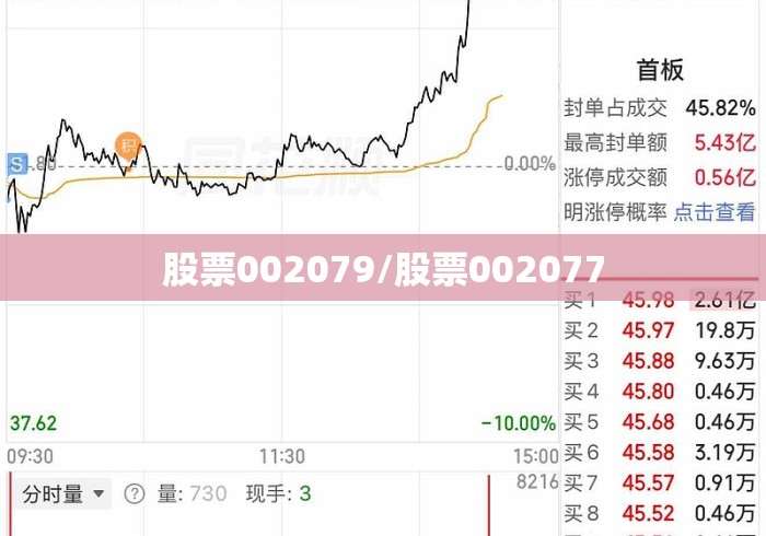 股票002079/股票002077 股票002079/股票002077