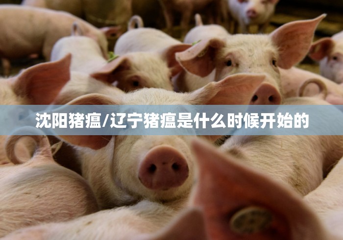 沈阳猪瘟/辽宁猪瘟是什么时候开始的