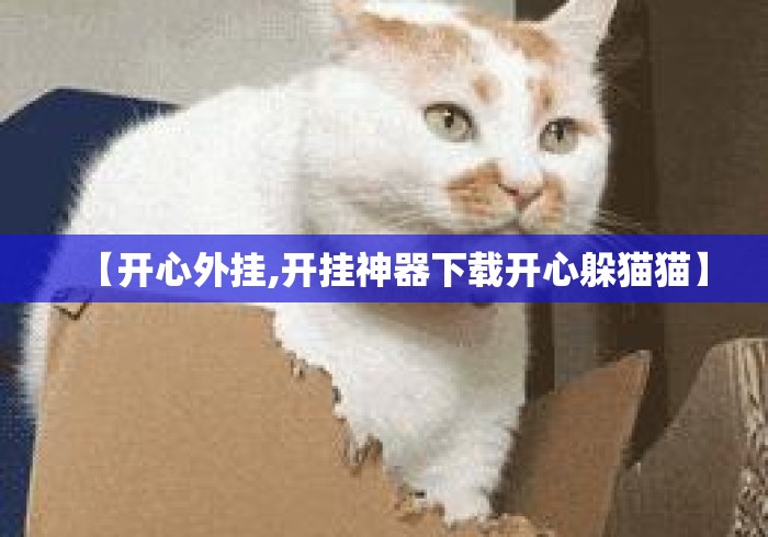 【开心外挂,开挂神器下载开心躲猫猫】