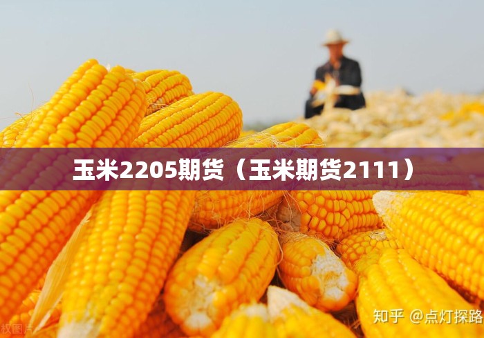 玉米2205期货(玉米期货2111) 玉米2205期货(玉米期货2111)