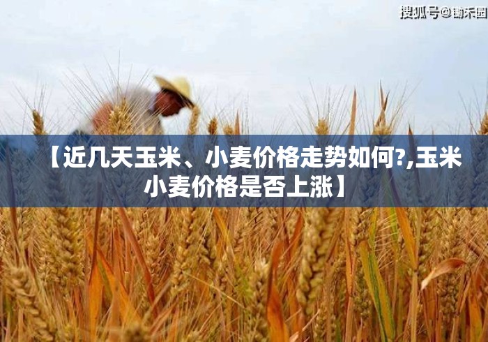 【近几天玉米	、小麦价格走势如何?,玉米小麦价格是否上涨】
