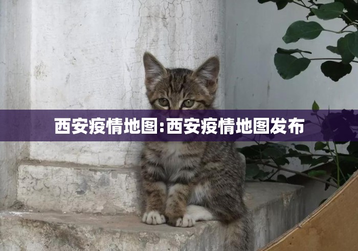 西安疫情地图:西安疫情地图发布 西安疫情地图:西安疫情地图发布