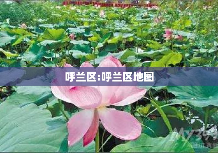 呼兰区:呼兰区地图 呼兰区:呼兰区地图