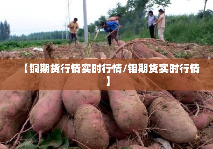 【铜期货行情实时行情/钼期货实时行情】 【铜期货行情实时行情/钼期货实时行情】