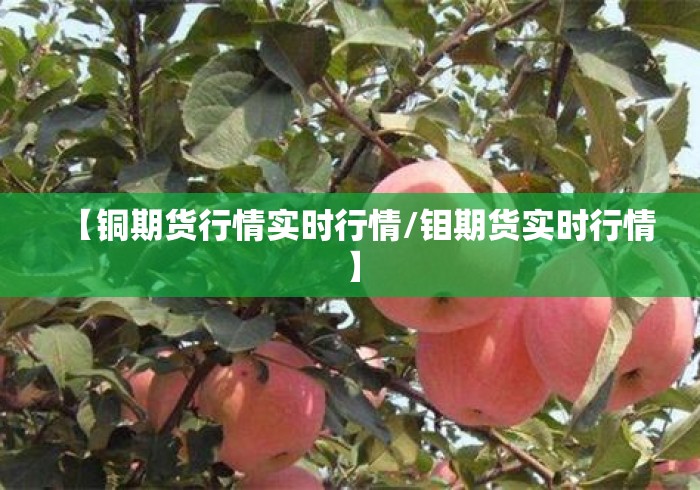 【铜期货行情实时行情/钼期货实时行情】 【铜期货行情实时行情/钼期货实时行情】