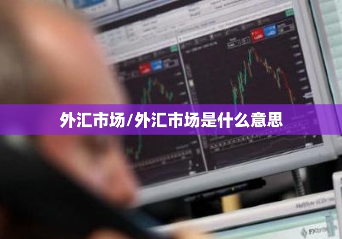 外汇市场/外汇市场是什么意思