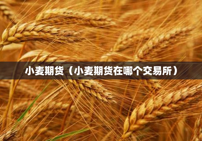 小麦期货(小麦期货在哪个交易所) 小麦期货(小麦期货在哪个交易所)