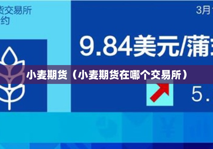 小麦期货(小麦期货在哪个交易所) 小麦期货(小麦期货在哪个交易所)