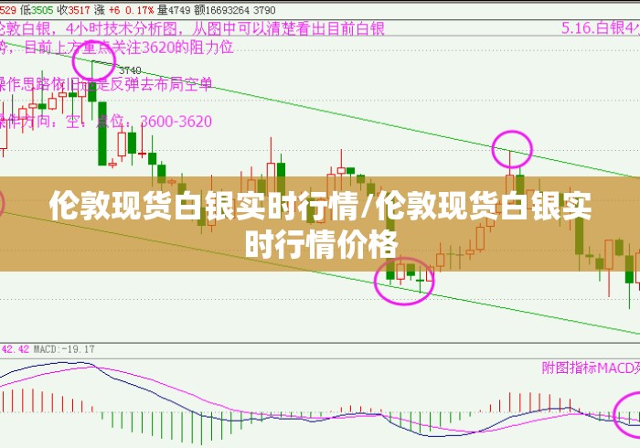 伦敦现货白银实时行情/伦敦现货白银实时行情价格