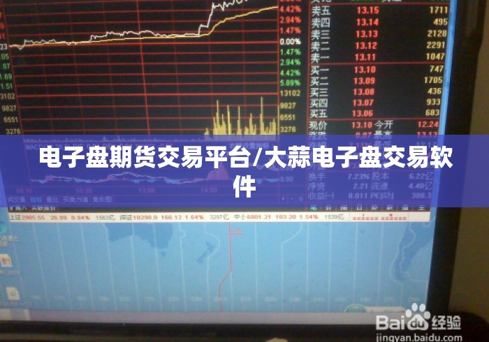 电子盘期货交易平台/大蒜电子盘交易软件