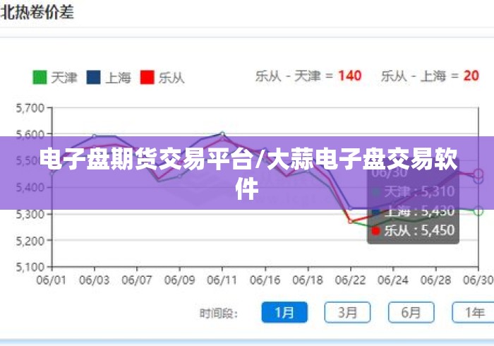 电子盘期货交易平台/大蒜电子盘交易软件