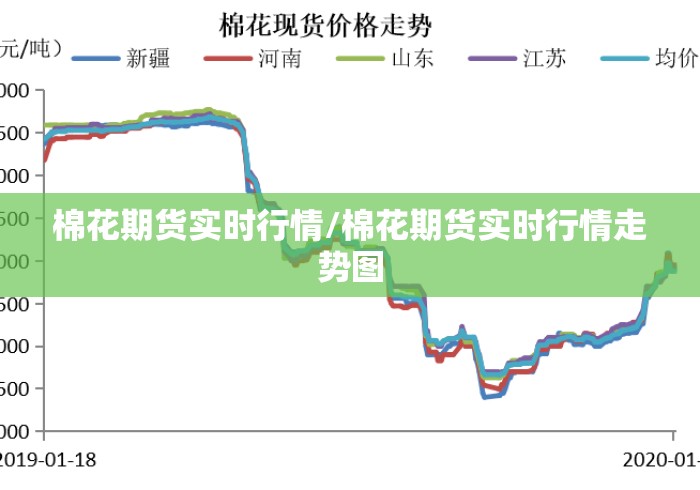 棉花期货实时行情/棉花期货实时行情走势图