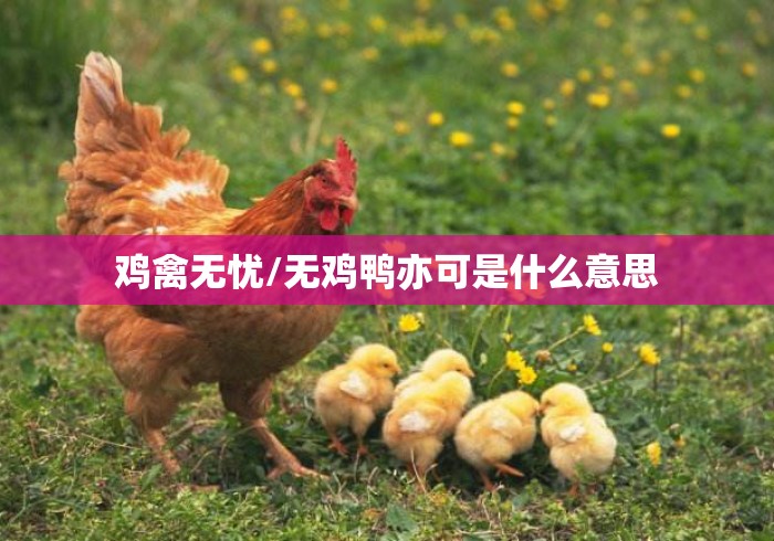 鸡禽无忧/无鸡鸭亦可是什么意思 鸡禽无忧/无鸡鸭亦可是什么意思