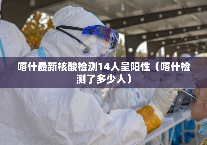 喀什最新核酸检测14人呈阳性（喀什检测了多少人）