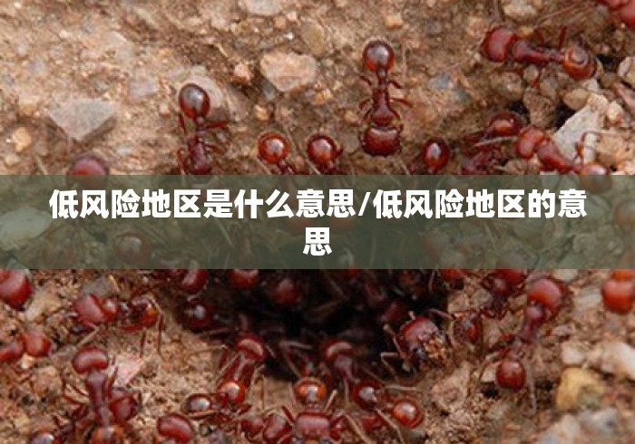 低风险地区是什么意思/低风险地区的意思