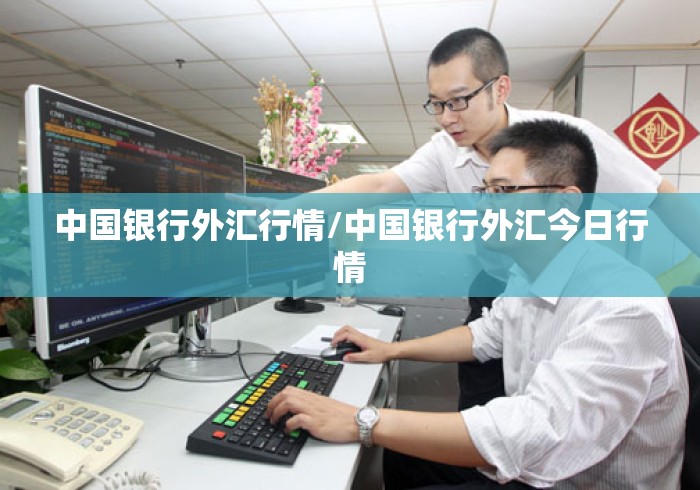 中国银行外汇行情/中国银行外汇今日行情 中国银行外汇行情/中国银行外汇今日行情