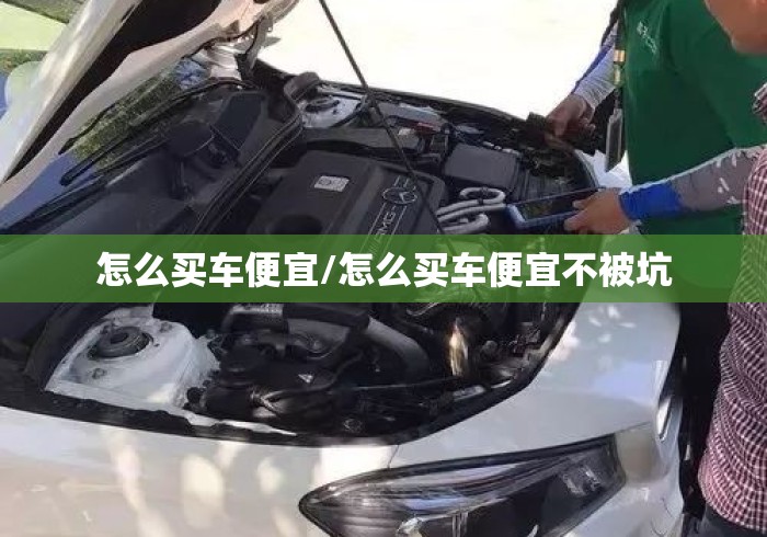 怎么买车便宜/怎么买车便宜不被坑 怎么买车便宜/怎么买车便宜不被坑
