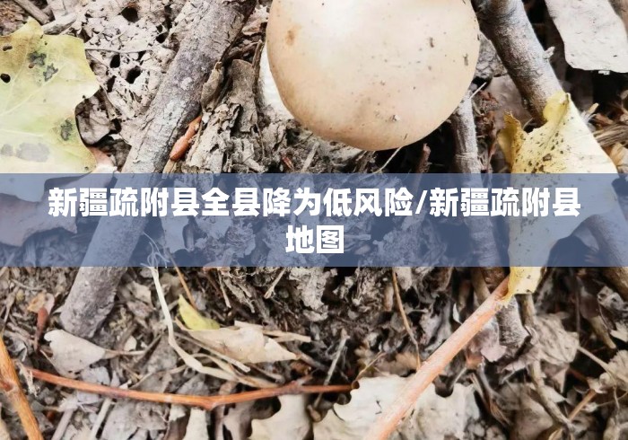 新疆疏附县全县降为低风险/新疆疏附县地图 新疆疏附县全县降为低风险/新疆疏附县地图