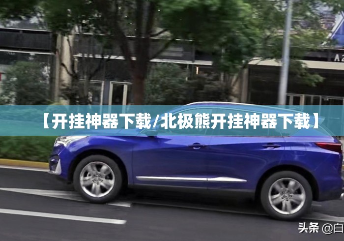 【开挂神器下载/北极熊开挂神器下载】 【开挂神器下载/北极熊开挂神器下载】