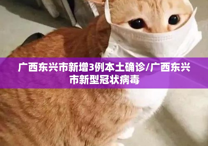 广西东兴市新增3例本土确诊/广西东兴市新型冠状病毒