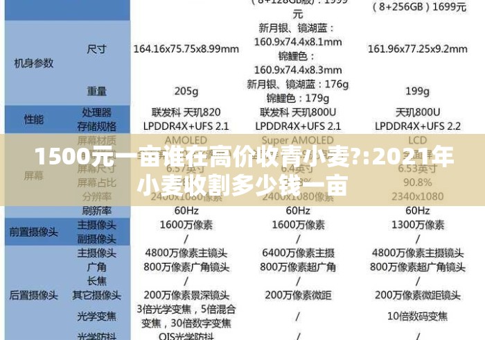 1500元一亩谁在高价收青小麦?:2021年小麦收割多少钱一亩