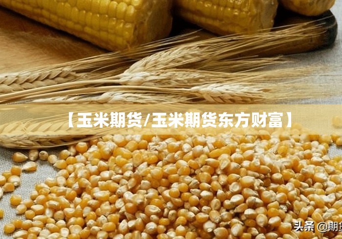 【玉米期货/玉米期货东方财富】