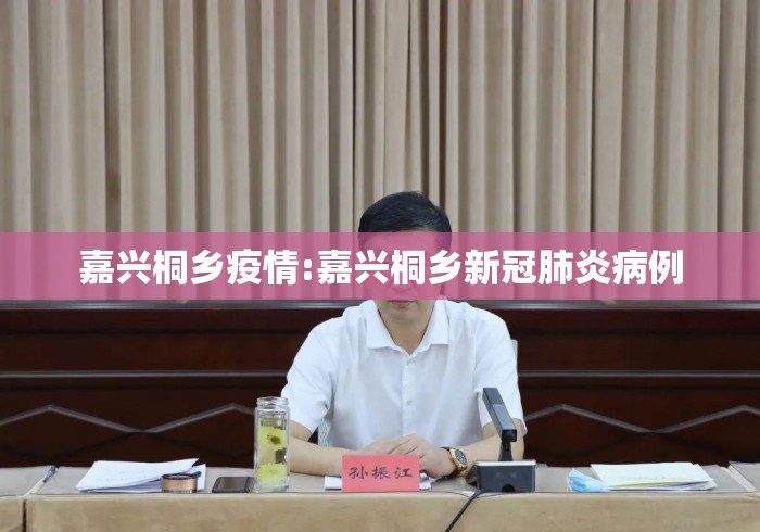 嘉兴桐乡疫情:嘉兴桐乡新冠肺炎病例