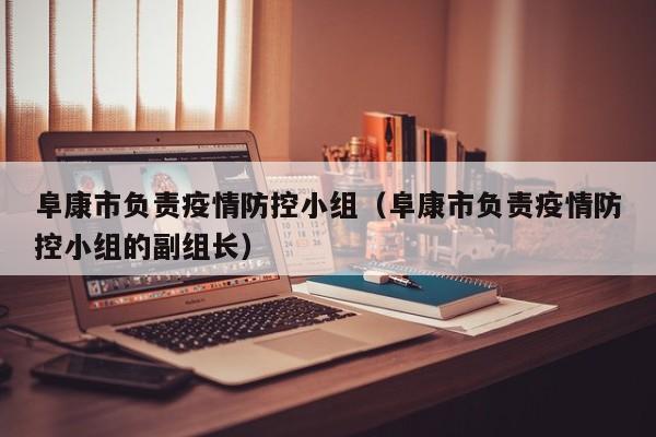 阜康市负责疫情防控小组(阜康市负责疫情防控小组的副组长)