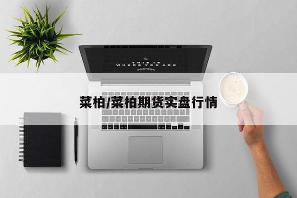 菜柏/菜柏期货实盘行情